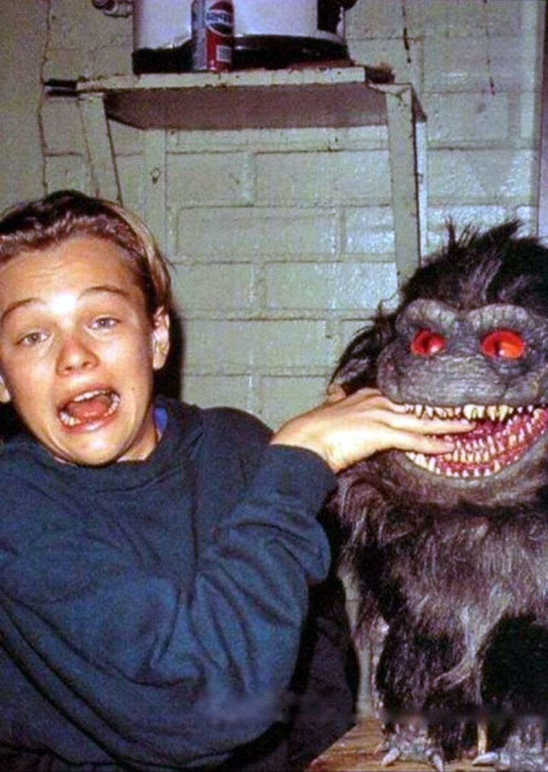 Aktorius L. DiCaprio susidraugavo su vienu Kramtuku filme „Kramtukai“ (angl. „Critters 3“. 1991)
