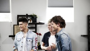 One Direction: tai mes (2)