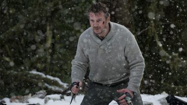 Liamas Neesonas suvaidins dar viename veiksmo filme (1)