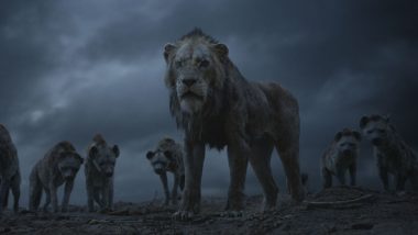 Liūtas karalius (5)